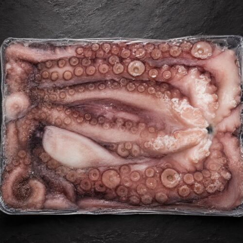 Polvo Português 3/4 kg 