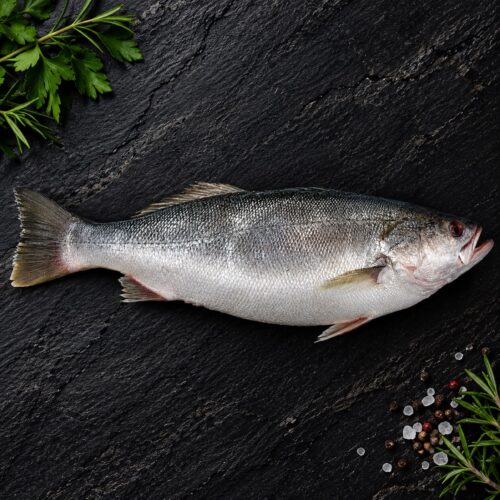 Pescada cambucu